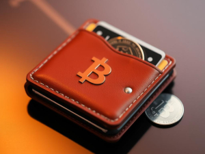 Choosing Between Hot and Cold Storage for Your Crypto Investments